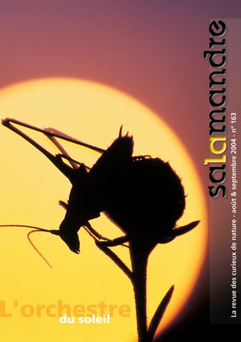 Couverture de La Salamandre n°163