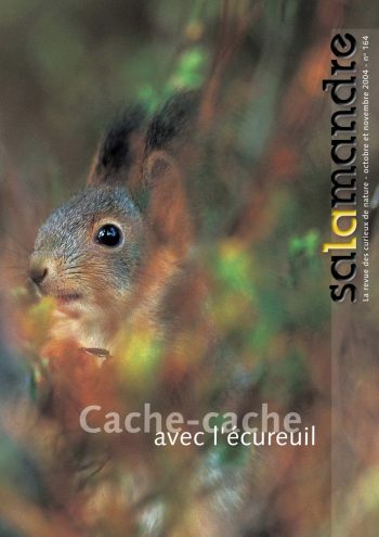 Couverture de La Salamandre n°164