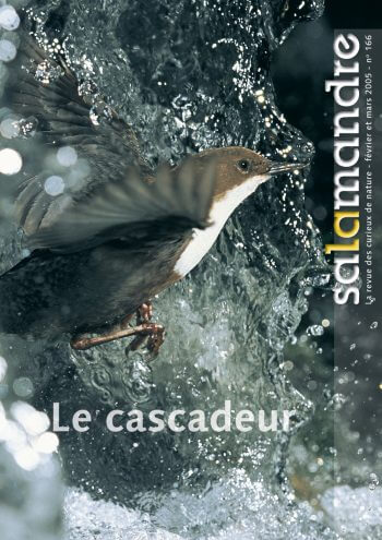 Couverture de La Salamandre n°166