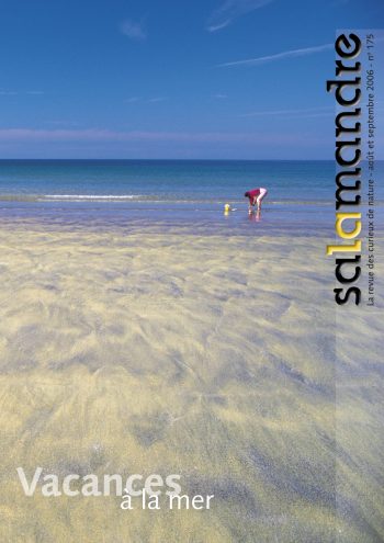 Couverture de La Salamandre n°175