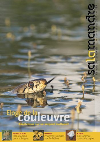 Couverture de La Salamandre n°179