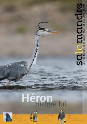 Couverture de La Salamandre n°184