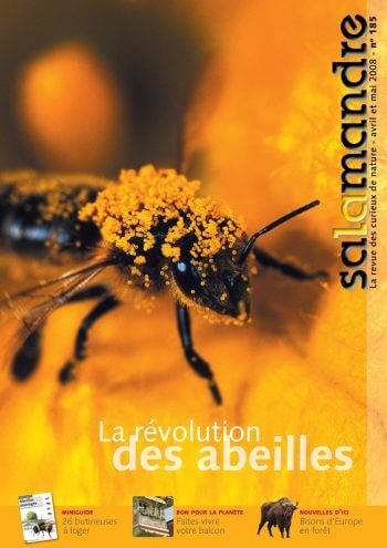 Couverture de La Salamandre n°185