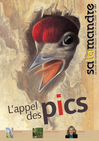 Couverture de La Salamandre n°191