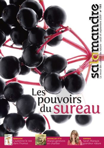 Couverture de La Salamandre n°193