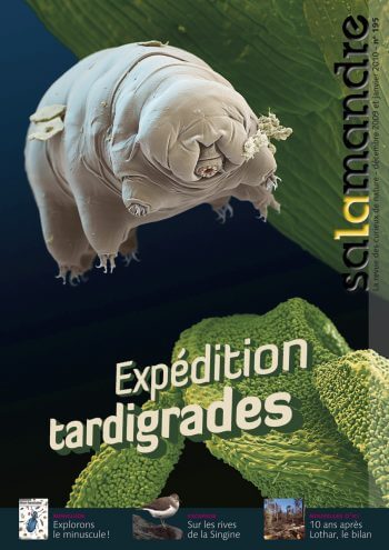 Couverture de La Salamandre n°195