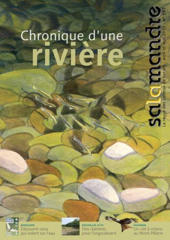 Couverture de La Salamandre n°197