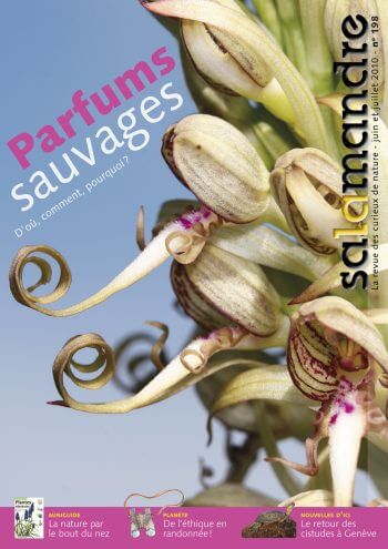 Couverture de La Salamandre n°198