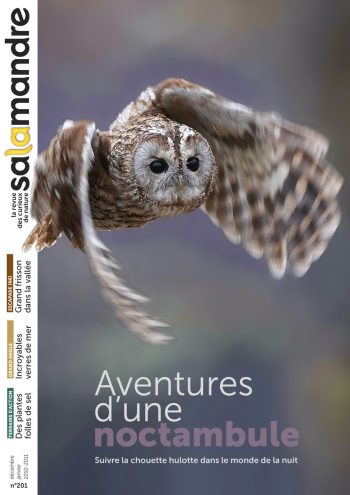 Couverture de La Salamandre n°201