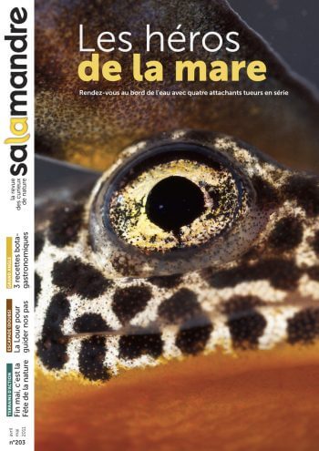 Couverture de La Salamandre n°203