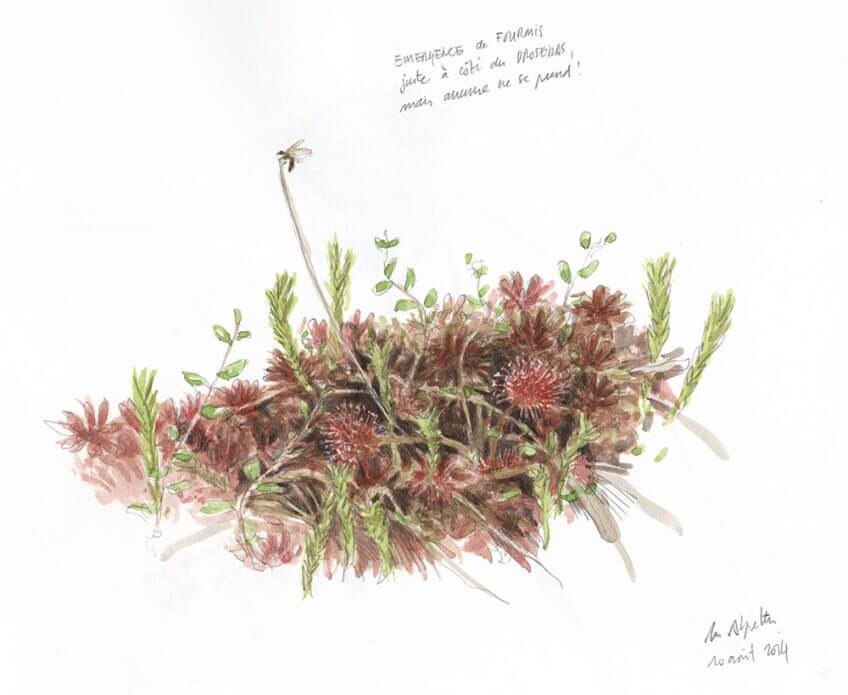 Le dessin de la semaine par Jérôme Gremaud