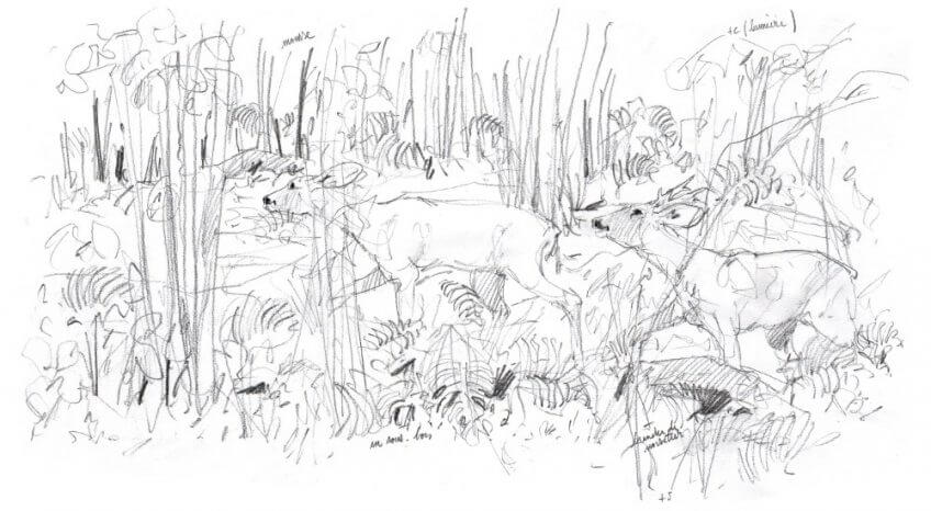 Le dessin de la semaine par Benoît Perrotin