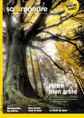 Couverture de La Salamandre n°224