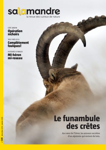 Couverture de La Salamandre n°225