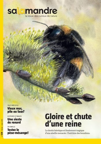 Couverture de La Salamandre n°226
