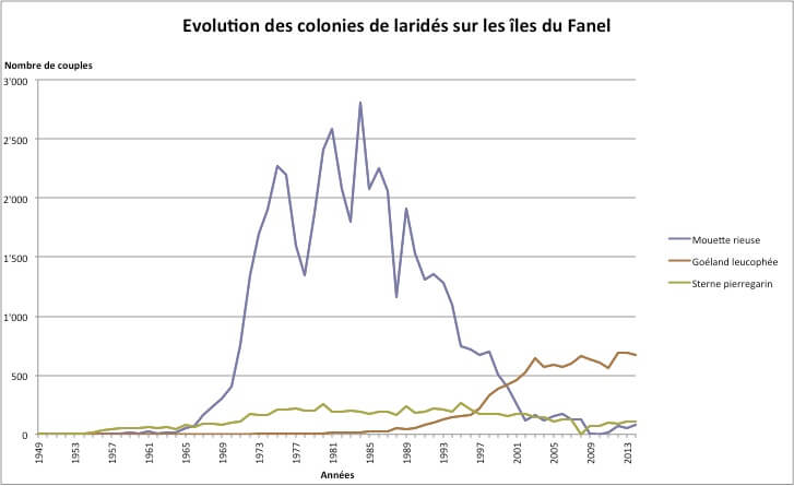 (source: Association de la Grande Cariçaie) Evolution des laridés au Fanel (1959-2015)