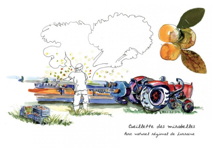 Le dessin de la semaine par Anne Bronner