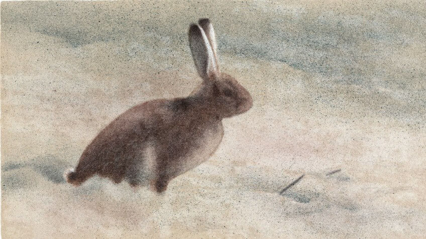 Le renard, la nuit et Jacques Rime