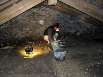 Auvergne: Matthieu Bernard nettoie du guano sous des combles. / © Romain Legrand