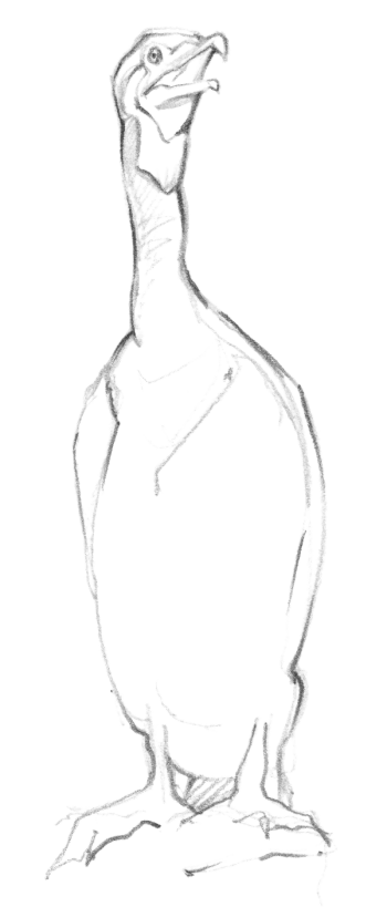 Confessions d'un pêcheur surdoué, le cormoran