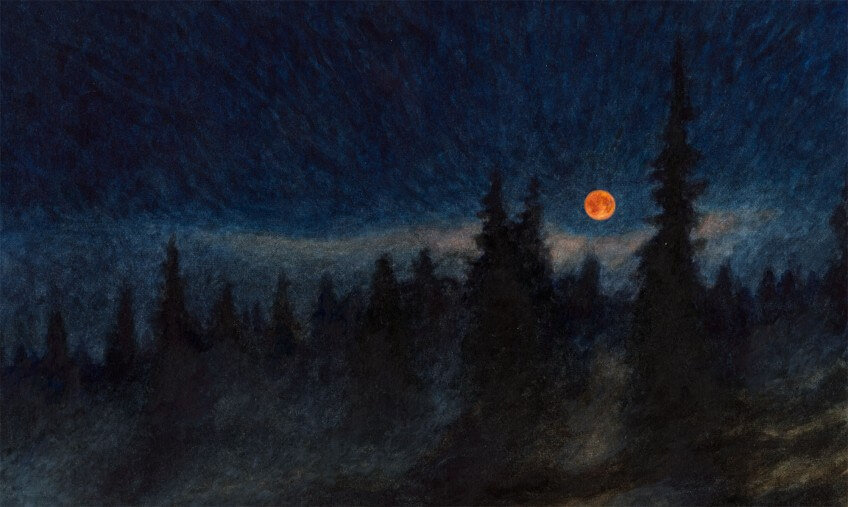 Le renard, la nuit et Jacques Rime