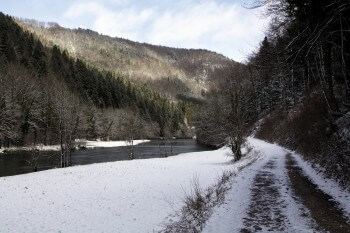 © Alessandro Staehli