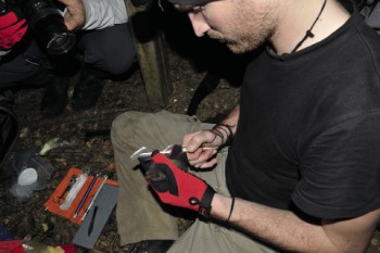 Martinique :Julien Jemin étudie les chiroptères d'Outre-Mer. / © Gérard Issartel