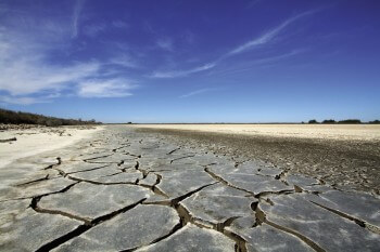 Fentes de dessiccation dans les argiles provoquées par la sécheresse.