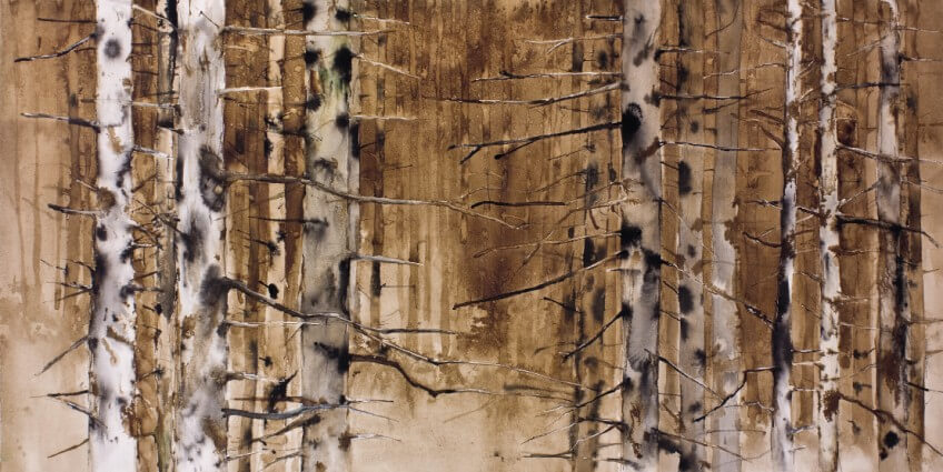 Parmi les bouleaux nus