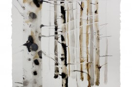 Forêt de bouleaux à l'encre de chine et au brou de noix / ©  Ji Young Demol Park 