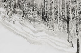 Forêt de bouleaux à l'encre de chine et au brou de noix / ©  Ji Young Demol Park 