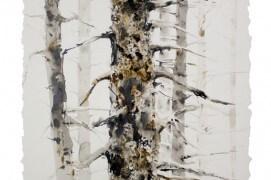 Forêt de bouleaux à l'encre de chine et au brou de noix / ©  Ji Young Demol Park 