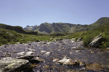 Gave d’Ayous / © Philippe Legay