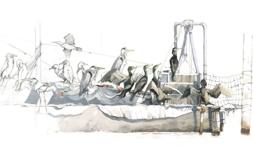 Confessions d'un pêcheur surdoué, le cormoran