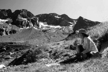 Parmi les bouleaux nus