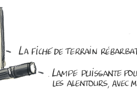 © Yann Le Bris