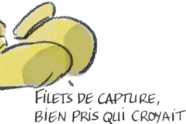 © Yann Le Bris