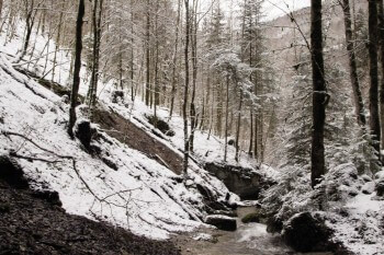 Le Bief de Vautenaivre / © Alessandro Staehli