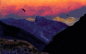 Le vespertilion (ou sérotine) vit dans les régions froides et en altitude.