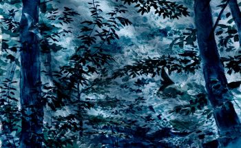 Murin de Bechstein, un forestier aux grandes oreilles. Murin de Bechstein, un forestier aux grandes oreilles.