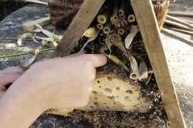 Complétez l’abri à insectes avec des tiges coupées à la bonne longueur. Le tout doit être suffisamment solide pour résister aux intempéries.