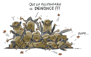 Chauves-souris tombées au sol