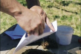 Le stockage idéal est l’enveloppe en papier : elle permet à la graine de respirer. Inscrivez le nom de la plante et la date de votre récolte. En attendant le moment des semis, conservez vos sachets de graines dans un lieu sec, bien aéré et à température constante.