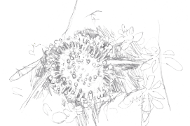 ©  Jérôme Gremaud