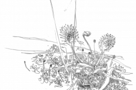 ©  Jérôme Gremaud