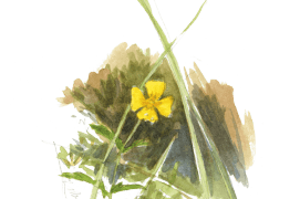 ©  Jérôme Gremaud