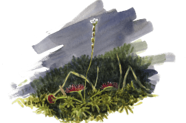 ©  Jérôme Gremaud