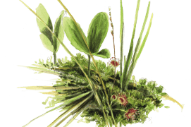 ©  Jérôme Gremaud