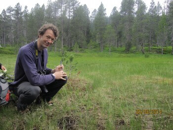 Edward Mitchell La droséra, une plante carnivore de chez nous.