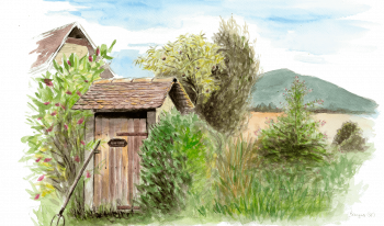 La bardane, une belle plante nourrissante au fond du jardin.